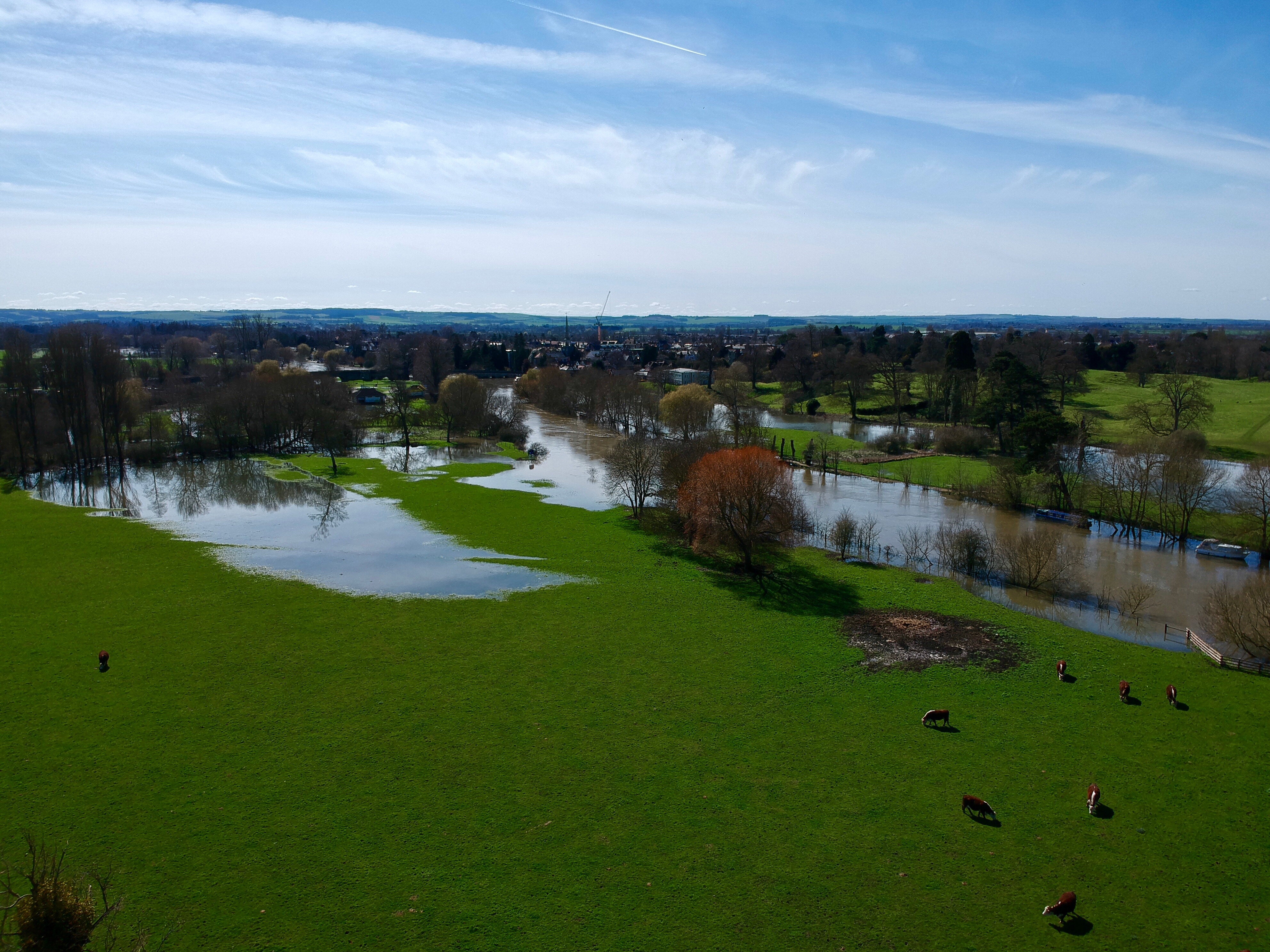 flooded-field-dji-spakr