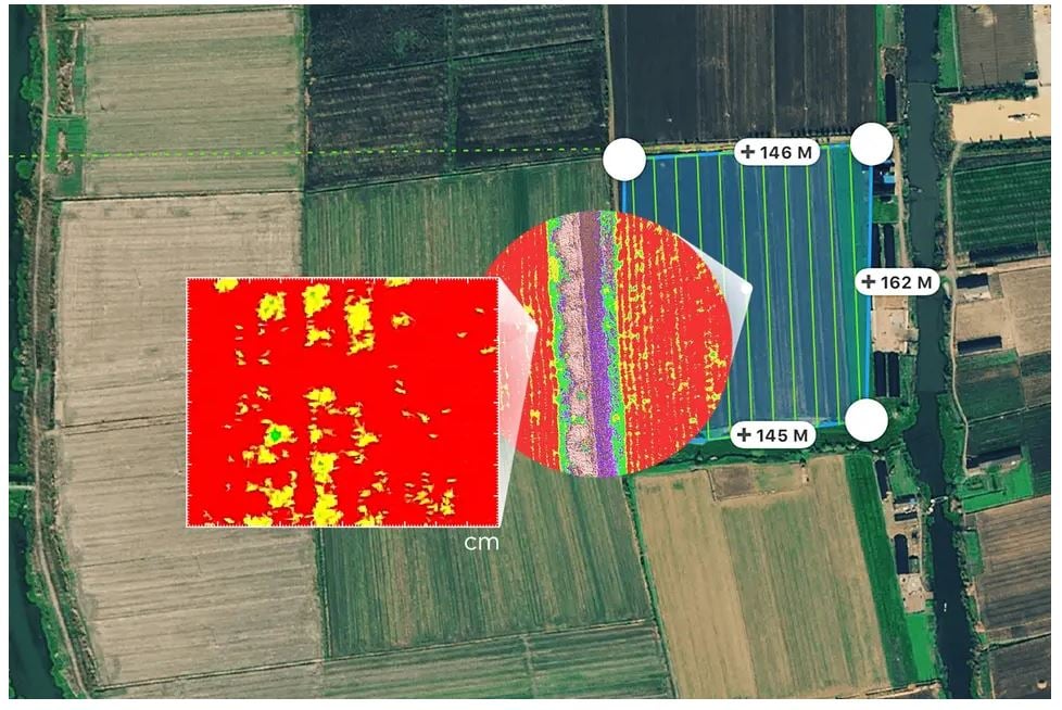 dji phantom 4 multispectral centimetre accuracy